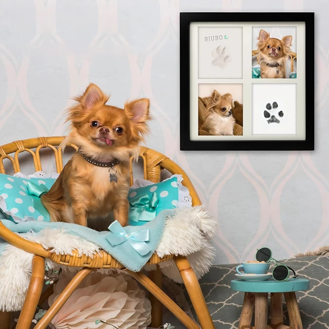 отпечатки лап в рамке