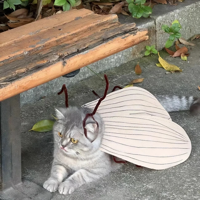 костюм для домашних животных