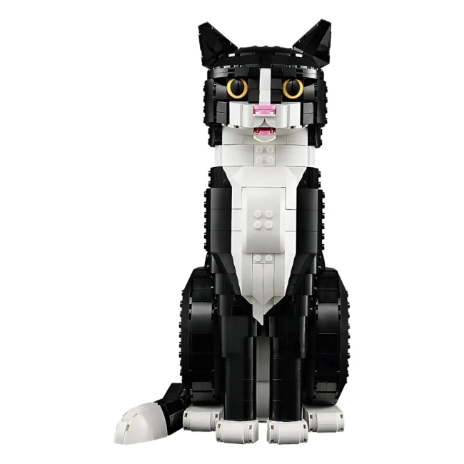 конструктор кот