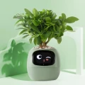 автоматический горшок для растений