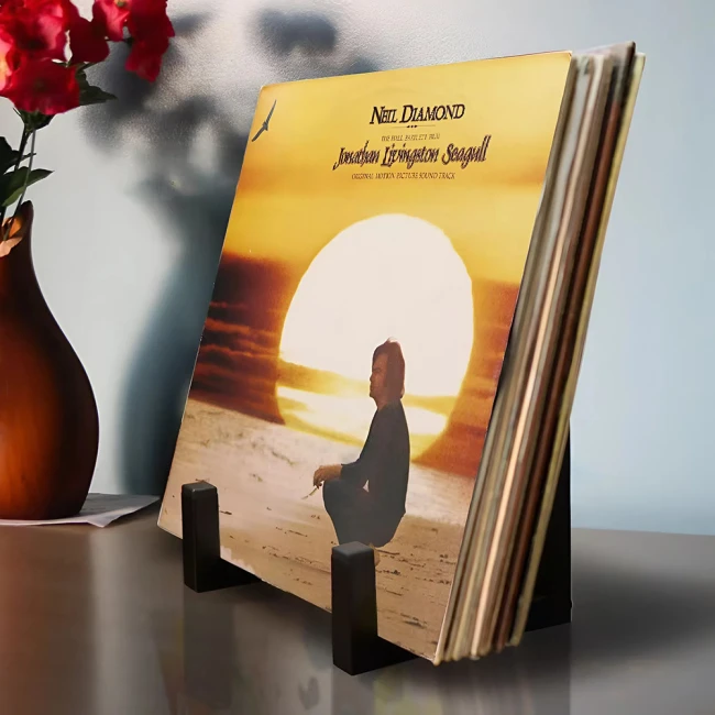 підставка для платівок