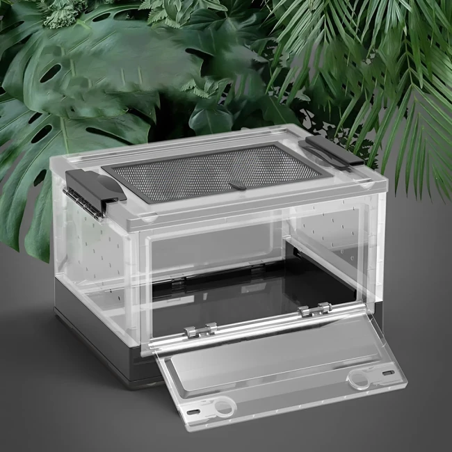 террариум для рептилий