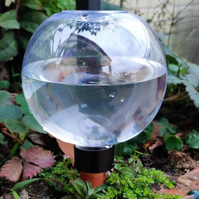 автополив для растений