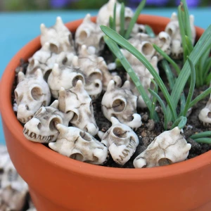 Набір міні-черепи для квіткового горщика (20 шт) міні-черепи