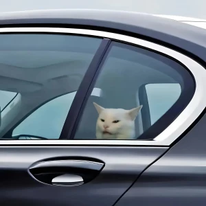 Наклейка на автомобіль мемний кіт наклейка на автомобіль