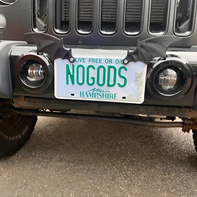 декор номерного знака