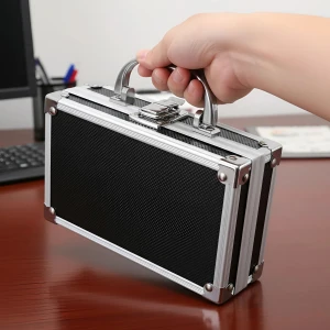 Компактний кейс для зберігання дрібниць кейс для зберігання