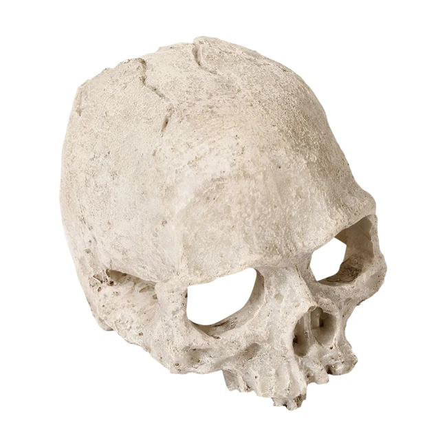 декор для акваріума