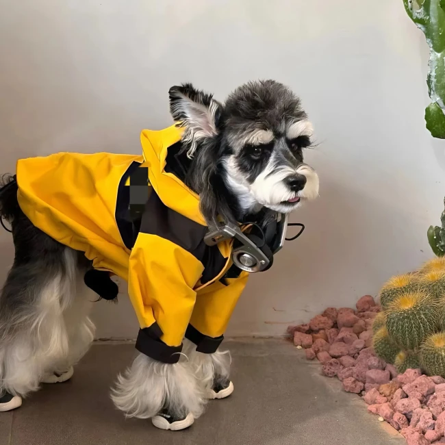 куртка з капюшоном для собак