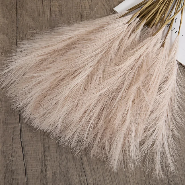 декоративні пампаси