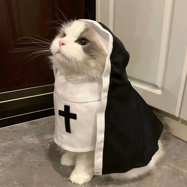 наряд для кота