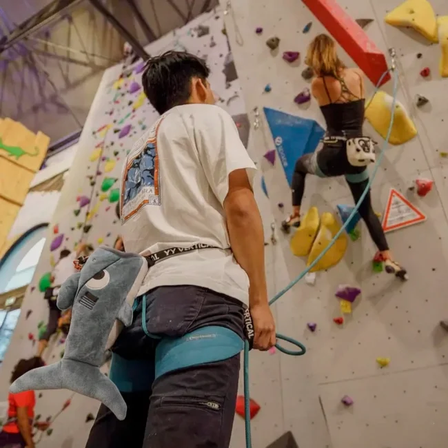 мешок для магнезии Акула