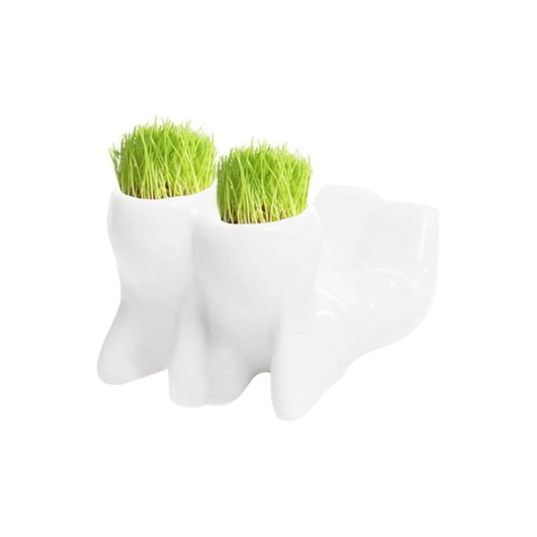 горщики чоловічки