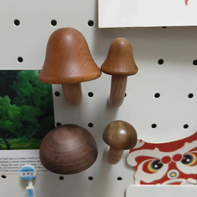 гриби на магнітах