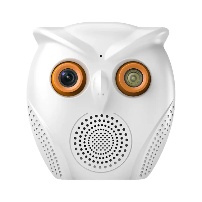 камера сова