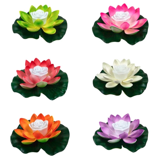 плаваючі ліхтарик лілія