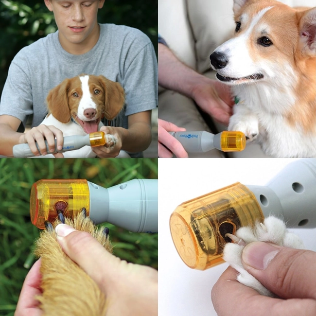 когтерезка для кошек