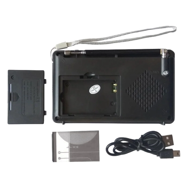 портативный радиоприемник с mp3