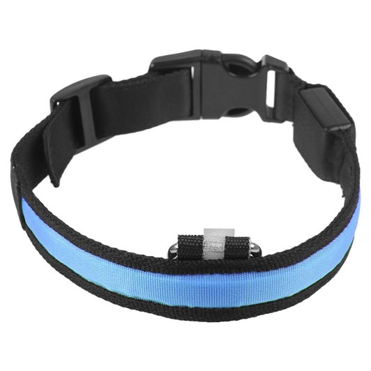 нашийники для котів і собак що світяться