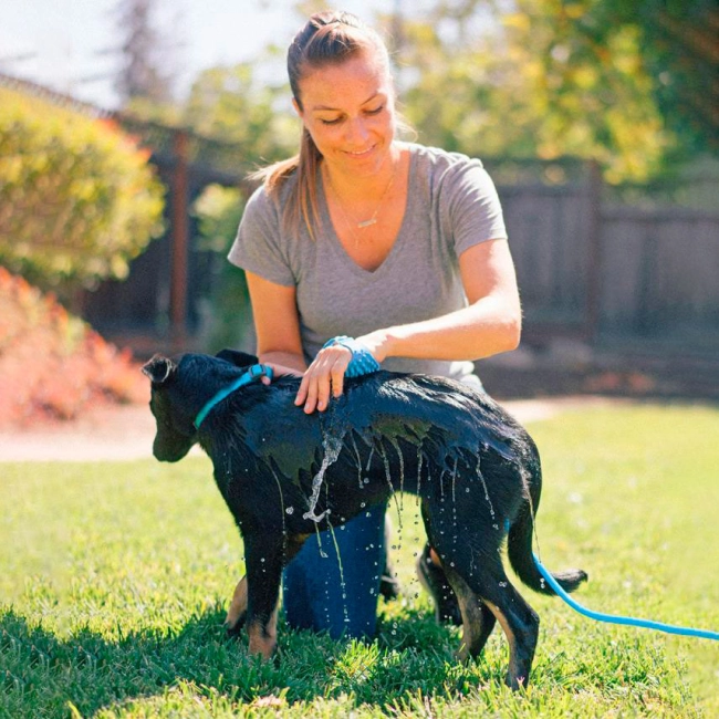 щітка душ для собак