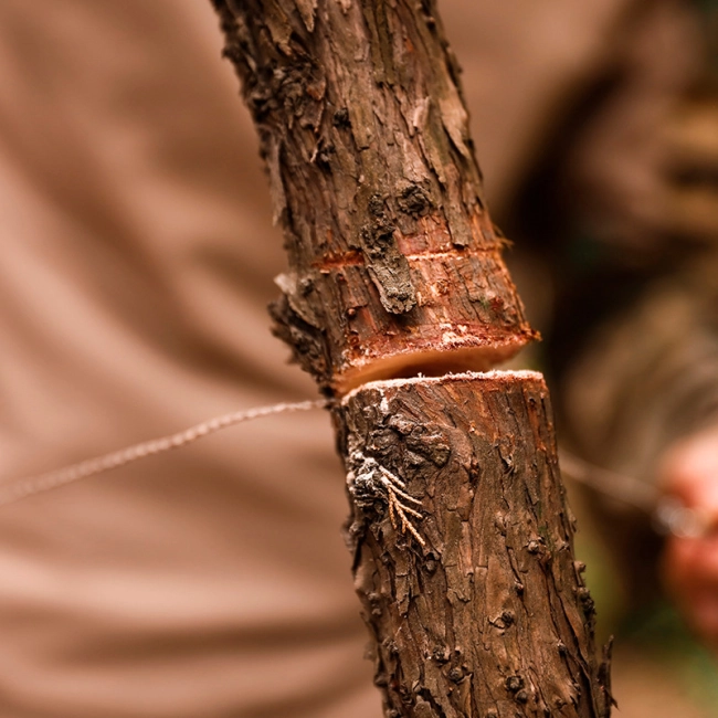 пила для похода и туризма