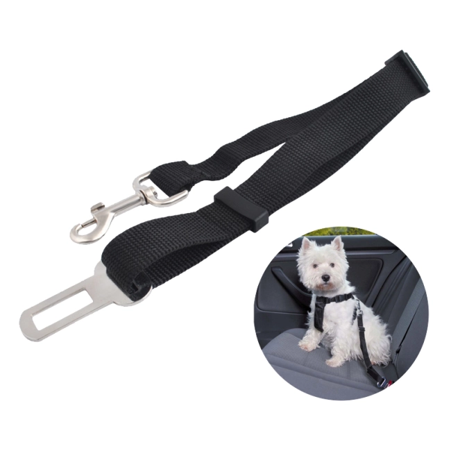 поводок для автомобиля