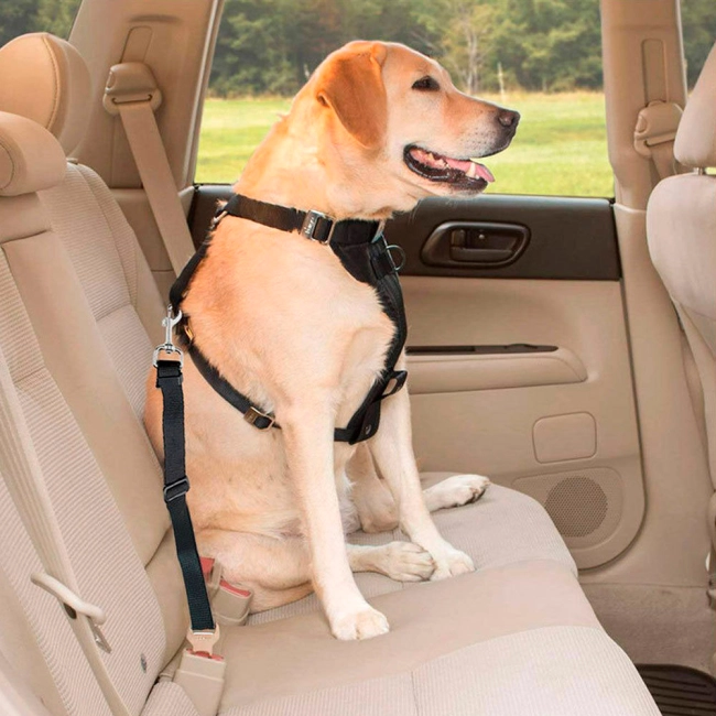 поводок для собак в автомобиль