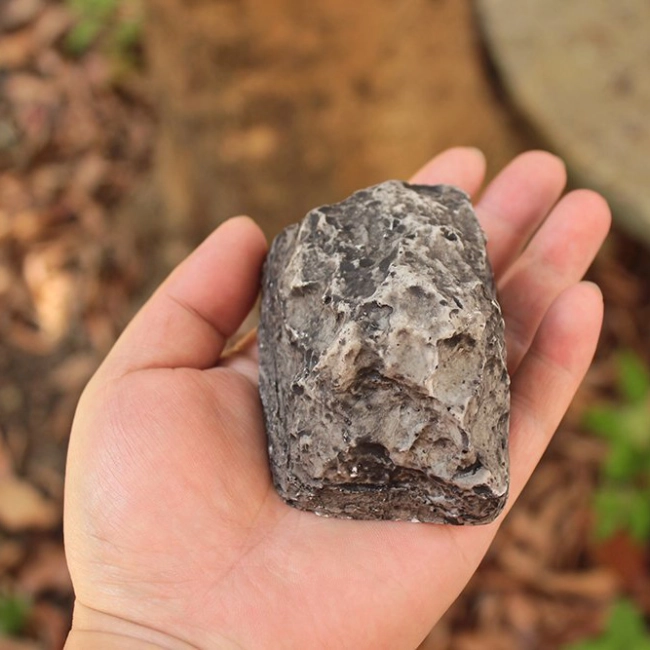 тайник в виде камня