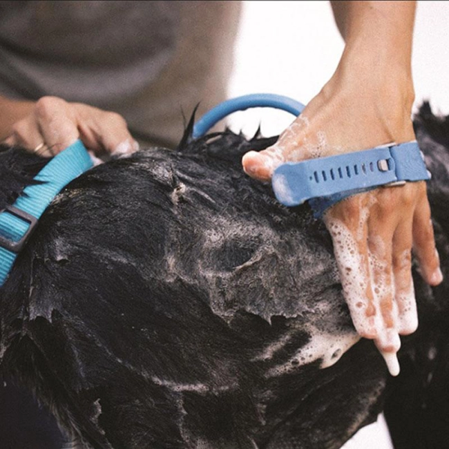 щетка со шлангом для мытья собак