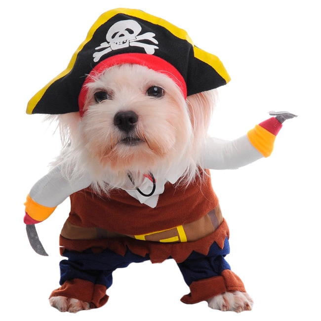 костюм пирата для кота