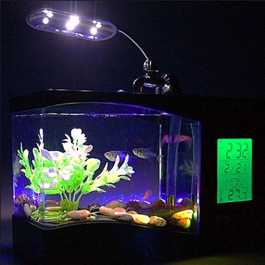мини аквариум