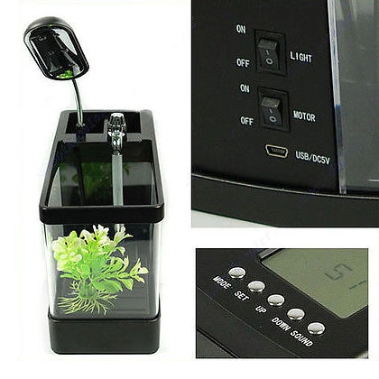 маленький аквариум