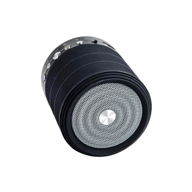 колонка с FM приемником