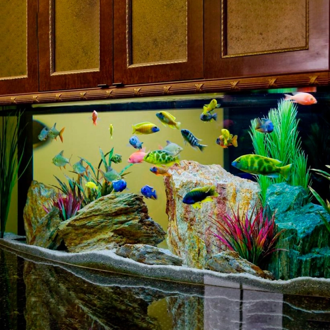 рыба робот для аквариума