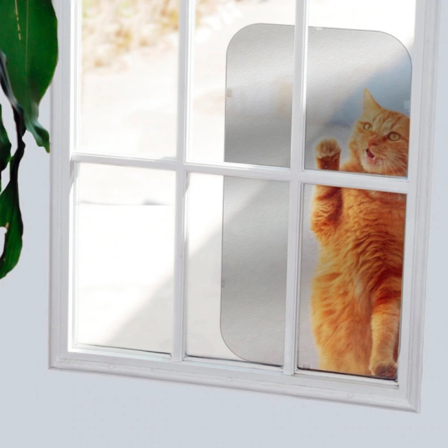 защитная пленка на мебель от царапин