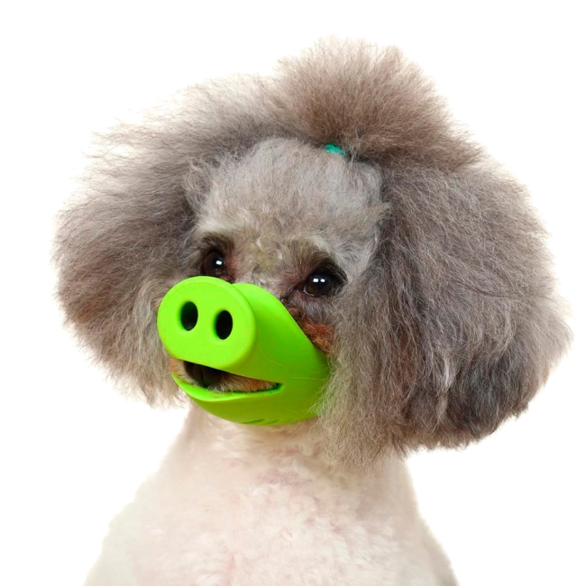 намордник для собак порося