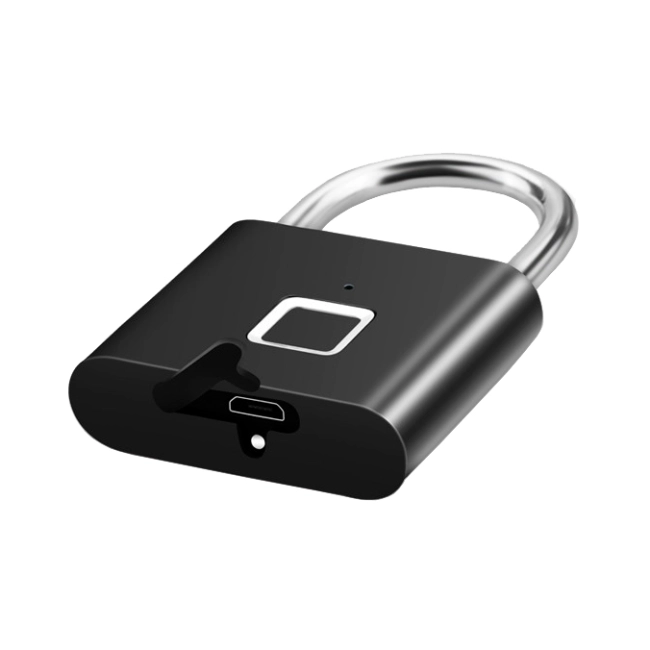 навесной биометрический замок