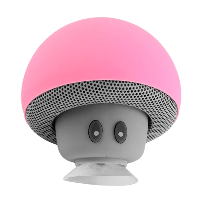 колонка гриб