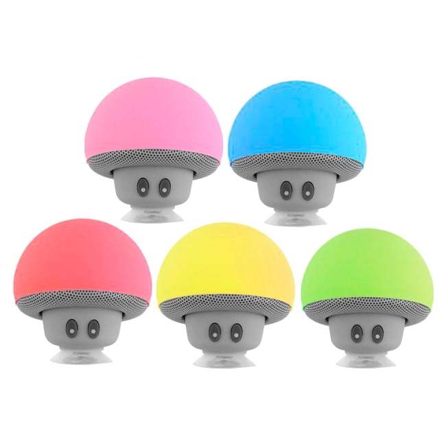 гриб на присосці