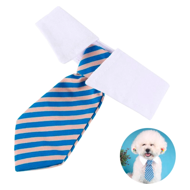 галстук для котов