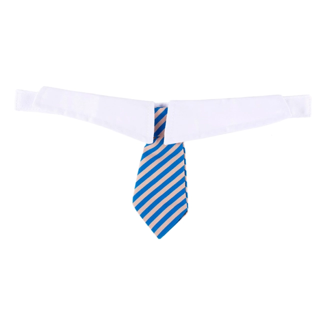 собачий галстук