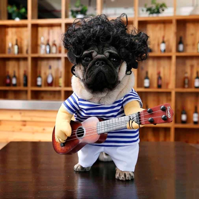 костюм для собаки