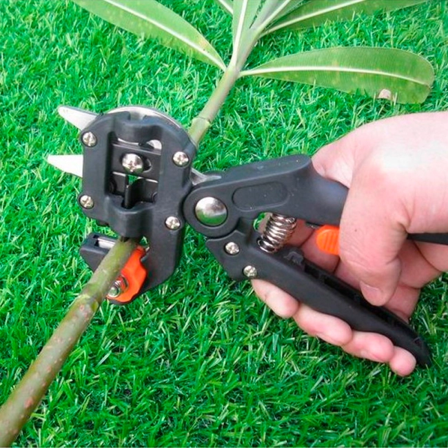 секатор прищеплювальний