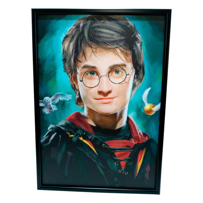 Гаррі Поттер Постер Гаррі Поттер
