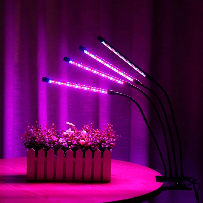 настольный фитосветильник