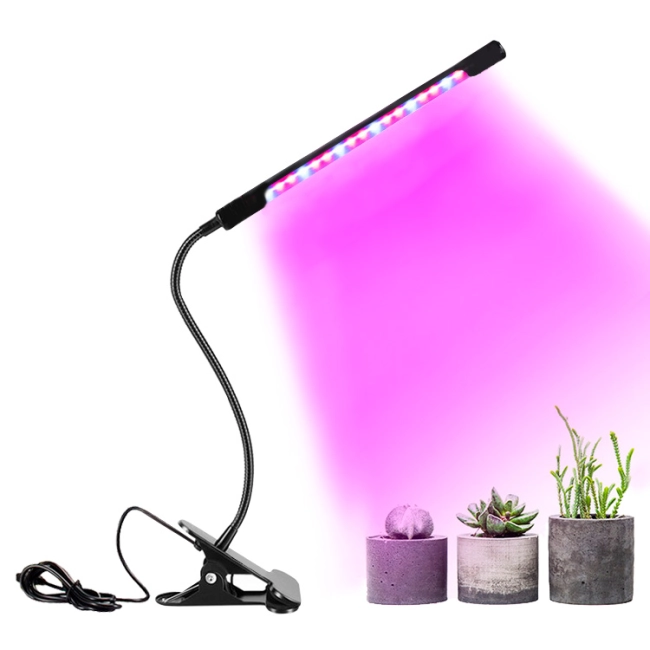 фітолампа з таймером