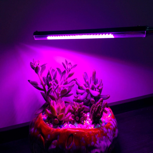 гнучка фітолампа