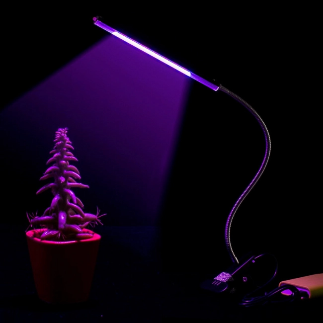 лампа з таймером для рослин