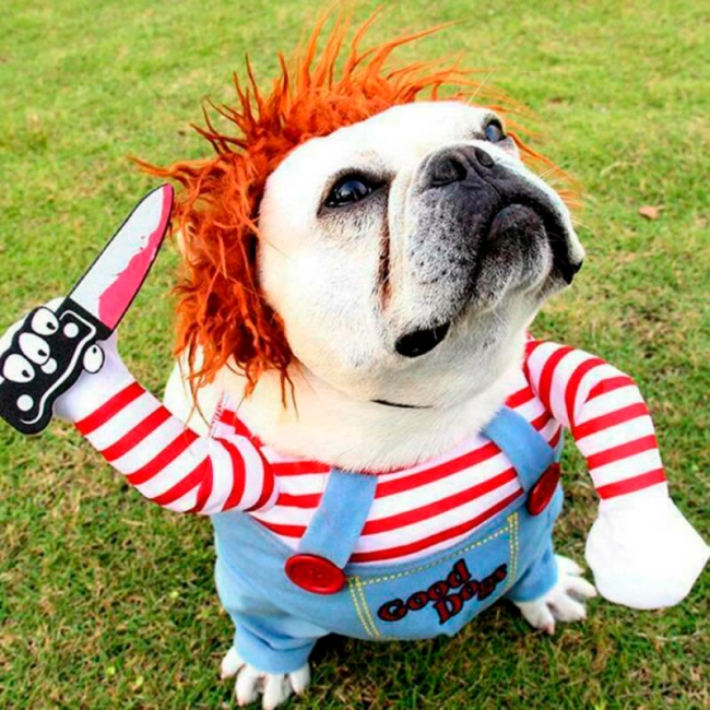 костюм куклы для собаки