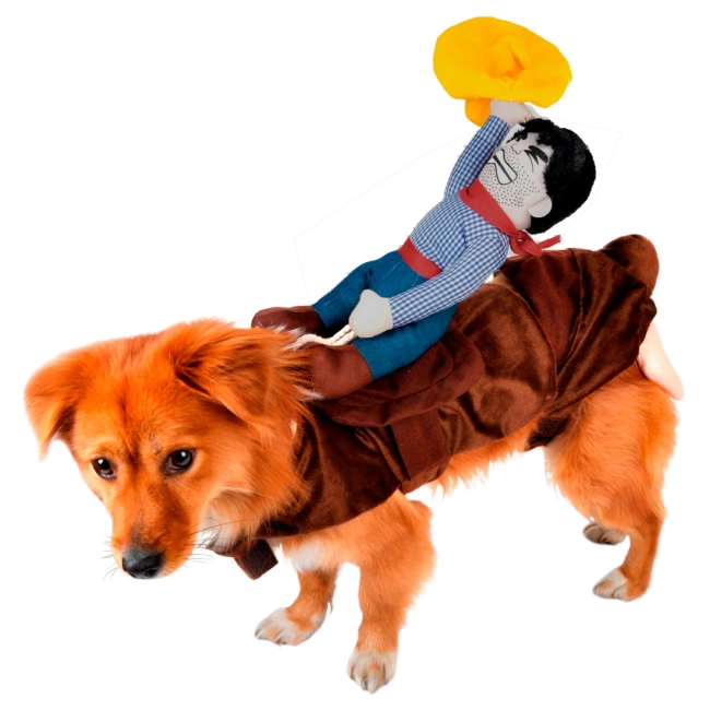 собачий костюм